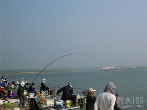 遛魚