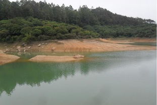 手桿遛魚技巧視頻8斤_長江手桿釣魚技巧魚_手桿溜魚技巧教學視頻