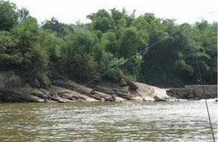 長江手桿釣魚技巧魚_手桿溜魚技巧教學視頻_手桿遛魚技巧視頻8斤