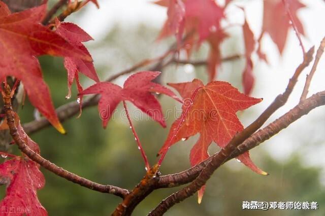 中央氣象臺發(fā)布特殊寒潮預(yù)警，降溫幅度特別大，12小時(shí)內(nèi)多地