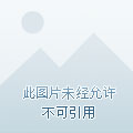 野外釣鯽魚技巧_野外釣鯽魚用什么最好_野外釣鯽魚耳料