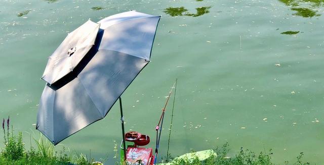 野外釣鯽魚用什么最好_野外釣鯽魚技巧_野外釣鯽魚耳料
