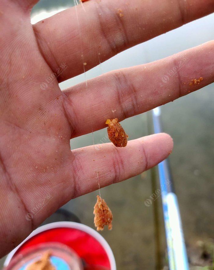 野釣淺水釣鯽魚技巧_冬季釣魚技巧-冬天野釣鯽魚如何選擇釣位_野外釣鯽魚技巧