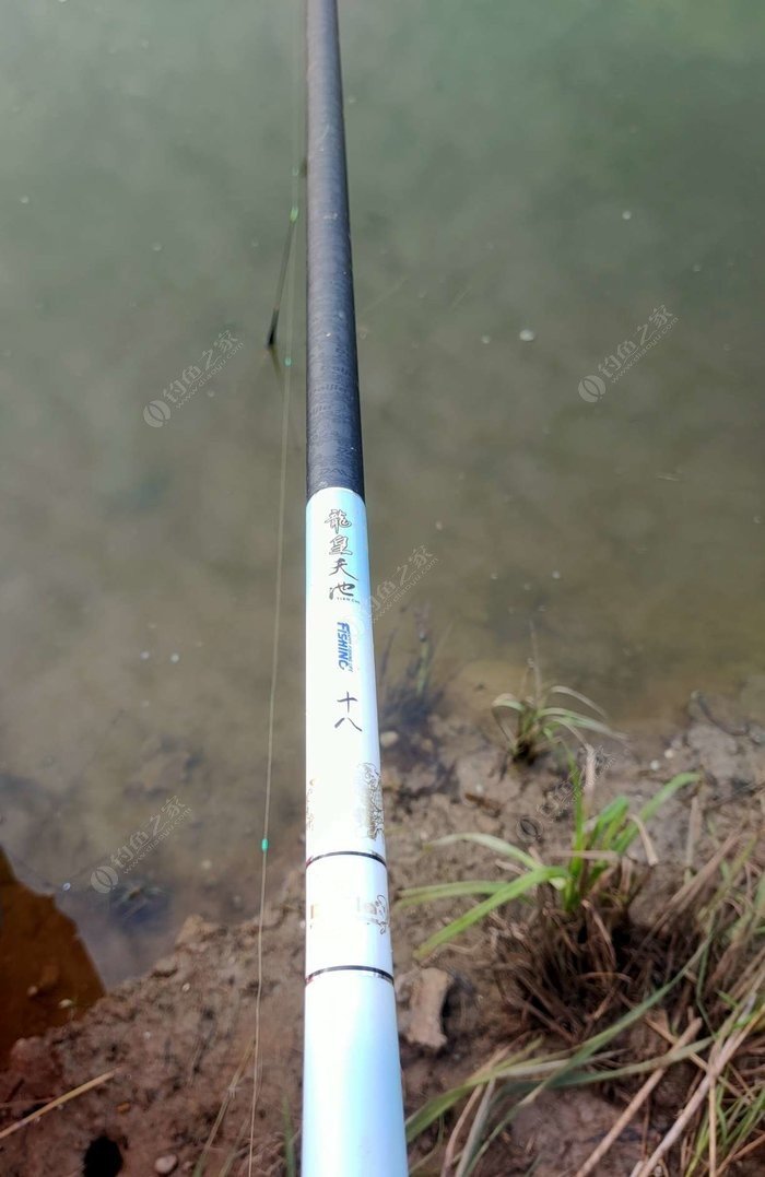 野外釣鯽魚技巧_冬季釣魚技巧-冬天野釣鯽魚如何選擇釣位_野釣淺水釣鯽魚技巧
