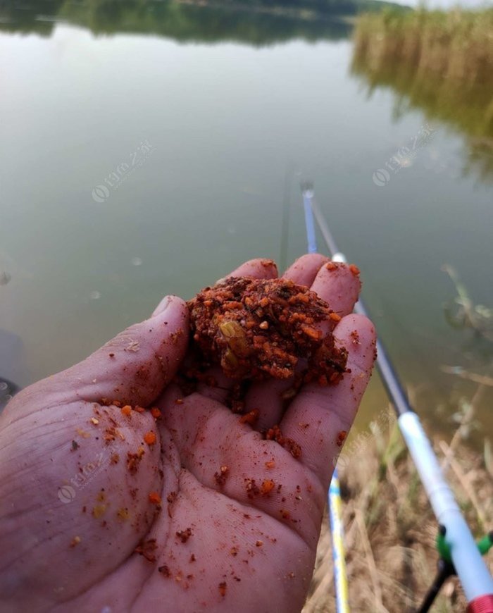 野外釣鯽魚技巧_野釣淺水釣鯽魚技巧_冬季釣魚技巧-冬天野釣鯽魚如何選擇釣位
