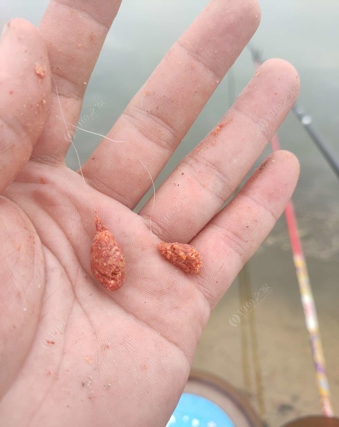 冬季釣魚技巧-冬天野釣鯽魚如何選擇釣位_野外釣鯽魚技巧_野釣淺水釣鯽魚技巧