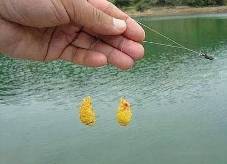 夏釣鯽魚技巧野釣_野外釣鯽魚技巧_野外釣鯽魚視頻大全