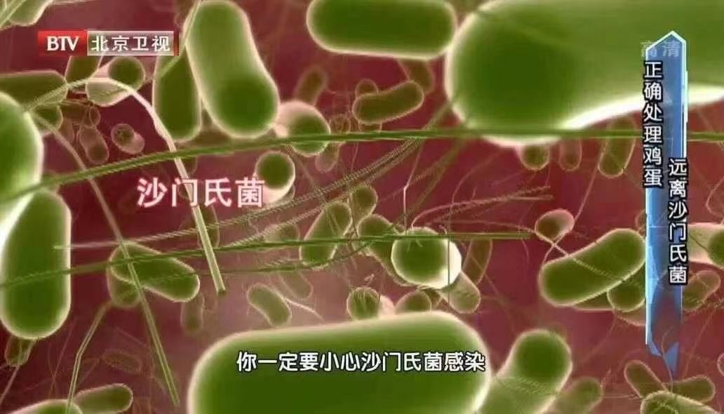 蛋煎餛飩圖片_雙面煎荷包蛋的技巧_莆田煎包怎么包視頻教