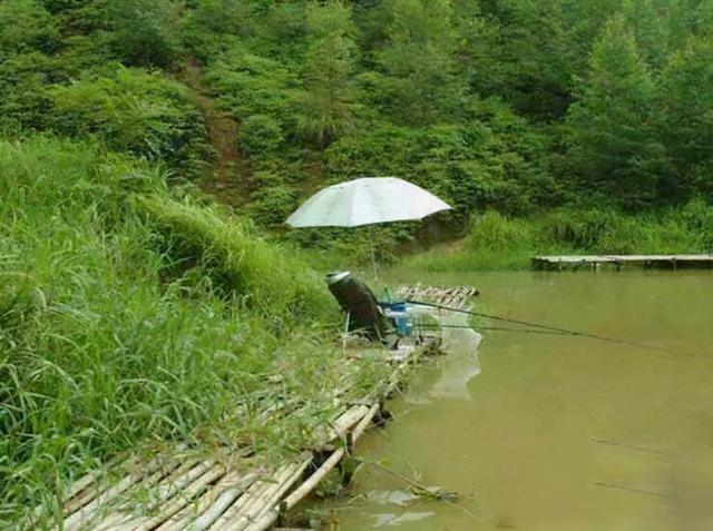 野外釣鯽魚技巧_野外釣鯽魚怎樣調(diào)漂_鯽魚釣法技巧野釣視頻