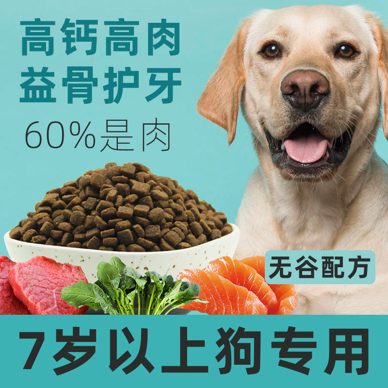養(yǎng)圣伯納犬知識(shí)大全_養(yǎng)骨小知識(shí)_養(yǎng)狗知識(shí)大全小不點(diǎn)小不丁狗狗