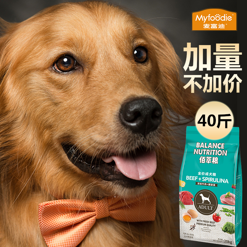 養(yǎng)圣伯納犬知識(shí)大全_養(yǎng)狗知識(shí)大全小不點(diǎn)小不丁狗狗_養(yǎng)骨小知識(shí)