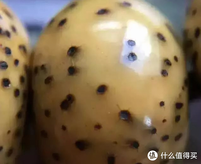 7種主流的文玩手串，學會這些盤玩方法，教你輕松盤出玻璃底