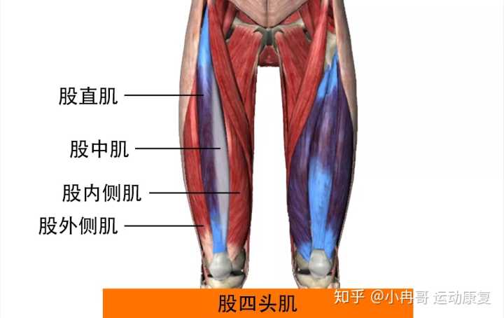 臀部怎么減肥_臀部大怎么減肥_臀部減肥最快方法