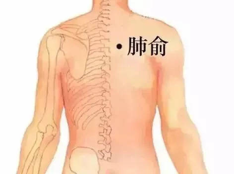 美容院刮痧排毒_排毒刮痧對臉有壞處嗎？_刮痧排毒方法
