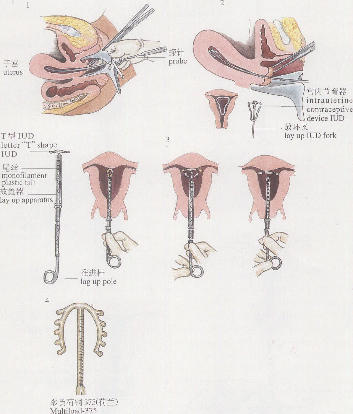 懷孕 知識_健康懷孕知識百科_懷孕知識百科