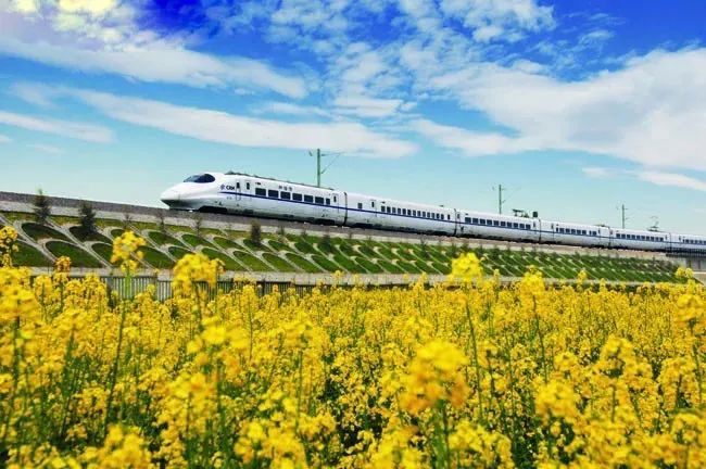 京ag5車牌代表什么_京外二十大代表團(tuán)陸續(xù)抵京_美團(tuán)外美團(tuán)外賣商家版