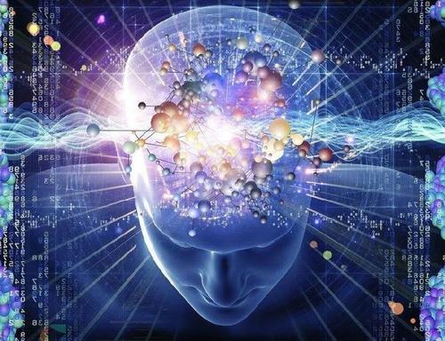 人腦細胞體外有智力_被車撞了在醫院腦測試智力65分是幾級腦殘_體外細胞毒性試驗方法