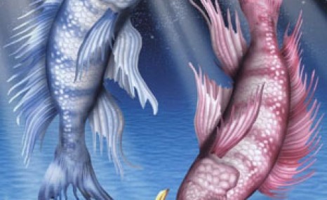 養魚風水知識大全：家庭養魚幾條比較好？