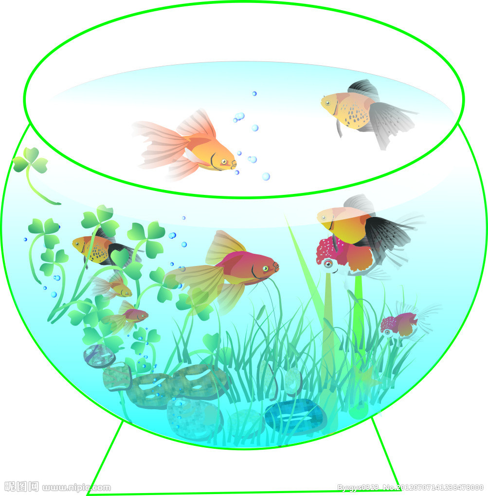 家庭養魚風水知識_家庭魚缸養魚知識_家庭養魚知識必備大全