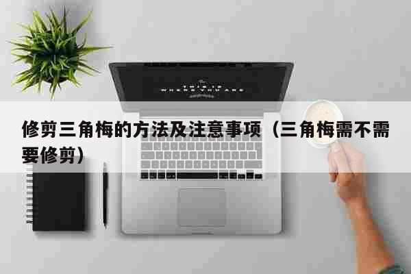 修剪三角梅的方法及注意事項（三角梅需不需要修剪）(組圖)