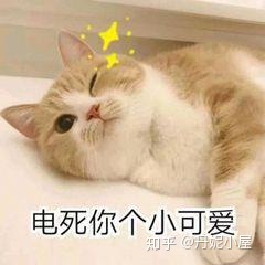 制作ppt小技巧_如何制作優秀的ppt,收集了兩年多的ppt技巧_如何制作ppt技巧