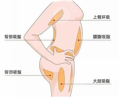 如何減掉腹部贅肉？這幾個(gè)方法讓你不再當(dāng)“小腹婆”