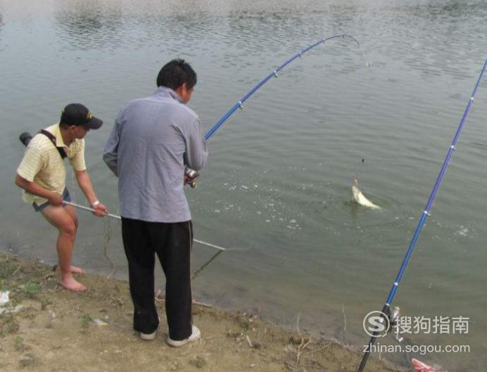 冬季海竿釣魚技巧_海竿冬季釣魚技巧_水庫釣魚使用海竿技巧