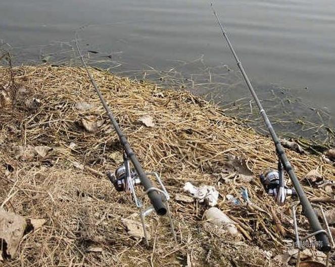 冬季海竿釣魚技巧_海竿冬季釣魚技巧_水庫釣魚使用海竿技巧