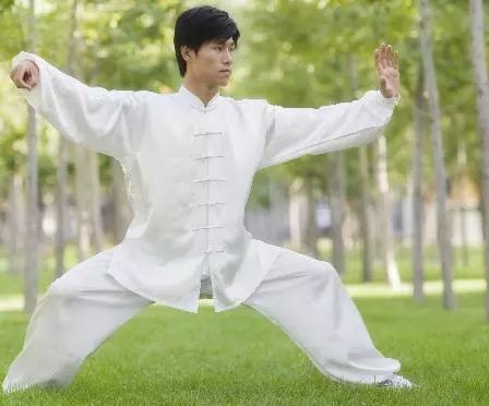 羅子真楊氏太極精髓_太極內功解密_太極拳解密:教你精髓練習方法