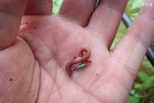 江河釣魚技巧_江河里海竿釣魚技巧_江河蚯蚓釣魚技巧