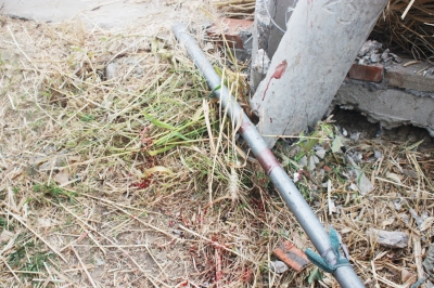 走路玩手機撞電線桿_走路撞到人怎么處理_走路撞樹的科學家