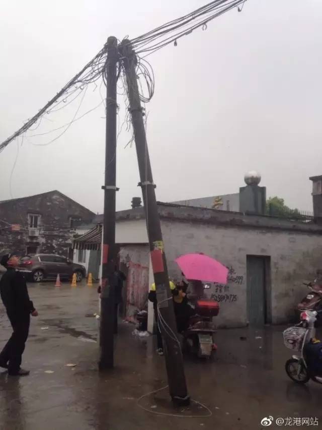 走路撞樹的科學家_走路撞到人怎么處理_走路玩手機撞電線桿