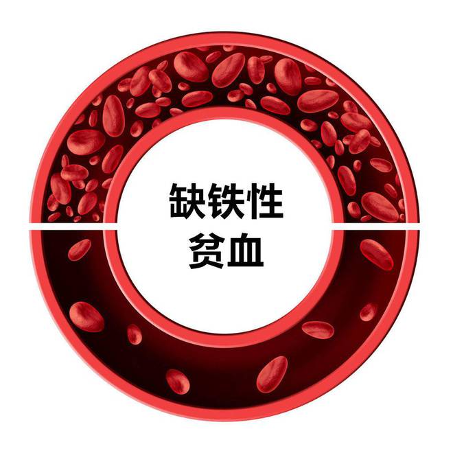 鐵對紅細胞作用百度知道知識日報_百度怎么關閉知道日報_百度知道·知道日報頭發保衛戰（百度知道日報主題?？た偟?期