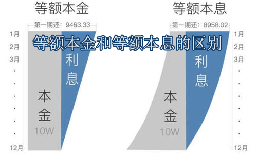 等額本息收益 展示方法_等額本息收益 展示方法_常用的信息展示方法