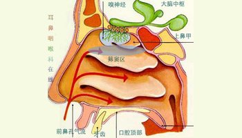 鼻竇炎的癥狀及治療_鼻竇炎的治療方法,鼻竇炎怎么_鼻竇炎的按摩治療
