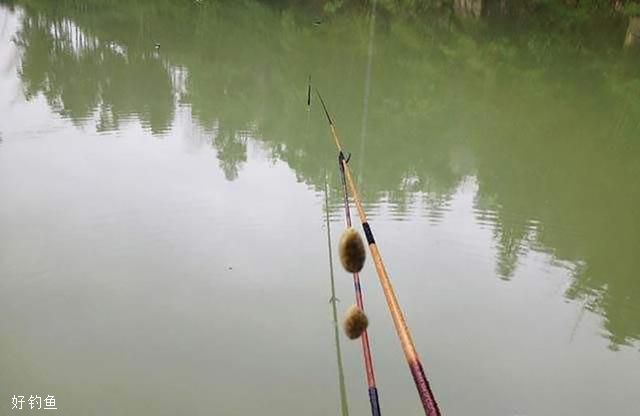 甩桿的釣魚方法視頻_釣魚桿打結方法_自動桿釣魚方法視頻