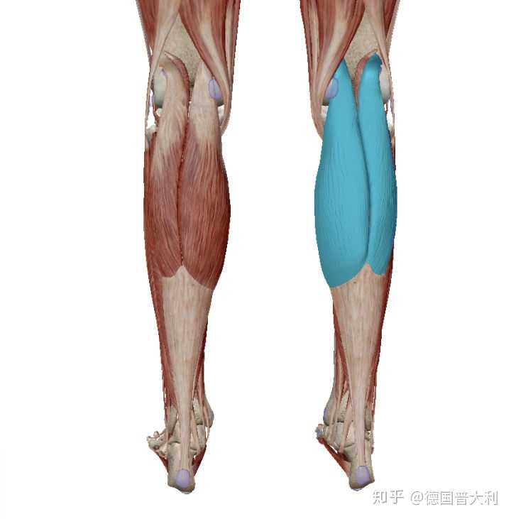 瘦大腿臀部的運動方法_怎么樣瘦臀部和大腿_怎樣可以瘦臀部以及大腿