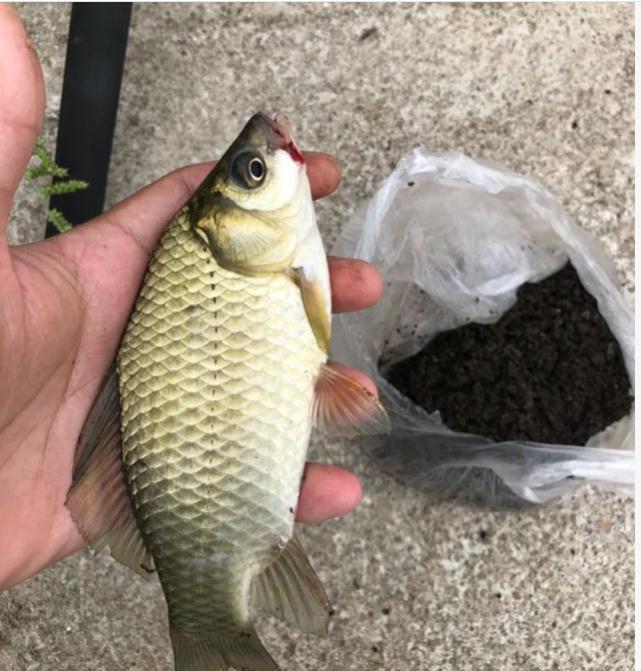春季釣魚技巧大全_春季釣魚技巧 釣魚人必看_釣魚技巧大全釣魚人必看的釣魚技巧