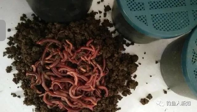 春季釣魚技巧大全_春季釣魚技巧_調漂 釣魚技巧大全 釣魚技巧全