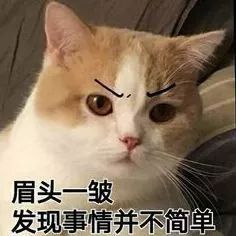弈城圍棋9級升8級怎么計算_46級分數計算方法_分數乘分數的意義和方法