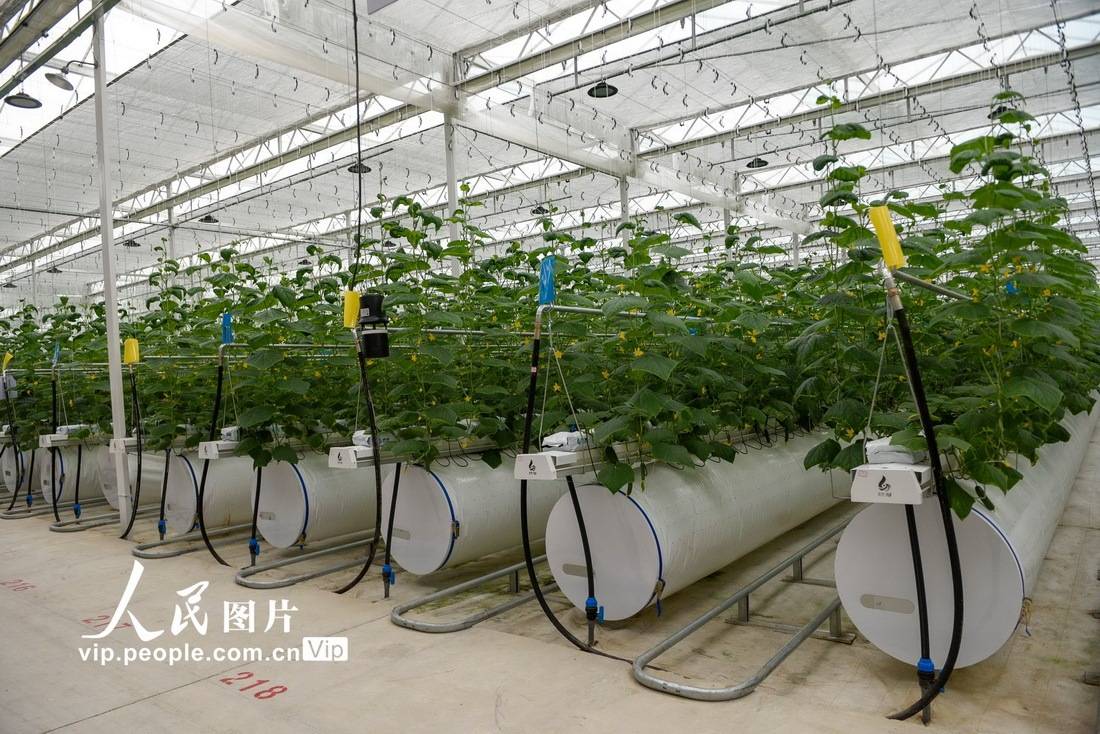 農業科技小知識_科普科技小知識廣播稿_小學科技小知識