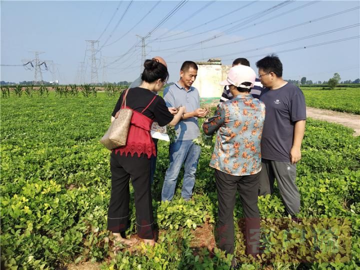 小學科技小知識_農業科技小知識_科普科技小知識廣播稿