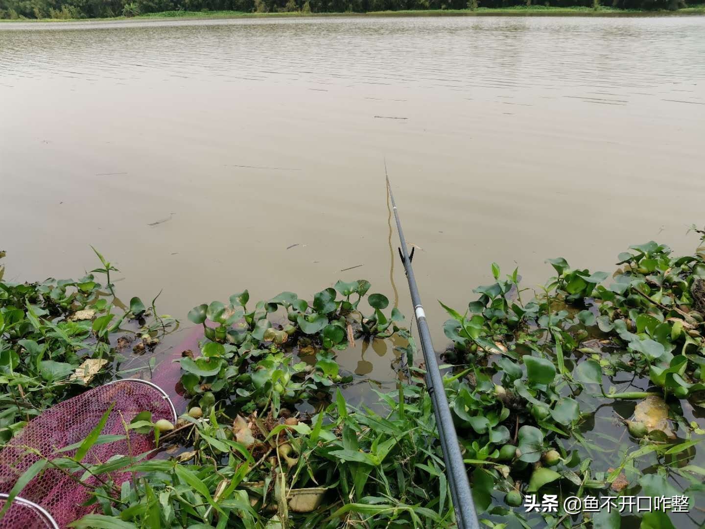 谷雨前后釣魚釣多深_谷雨釣魚技巧_谷雨前后釣魚技巧