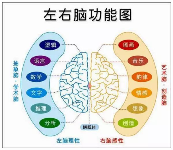 背單詞方法普特_經典回復 單詞背了嗎_17天背完gre單詞方法