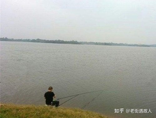 老魚塘釣鯉魚技巧_釣魚塘里的魚有何技巧_春季釣黑坑鯉魚技巧