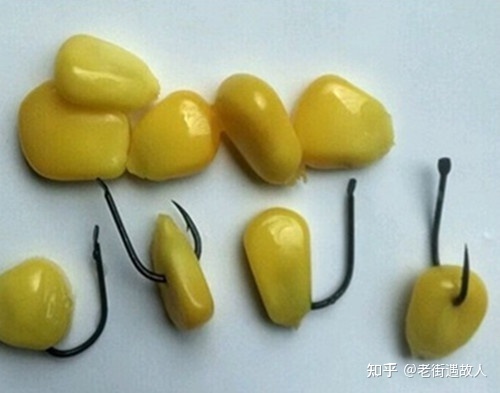 老魚塘釣鯉魚技巧_釣魚塘里的魚有何技巧_春季釣黑坑鯉魚技巧