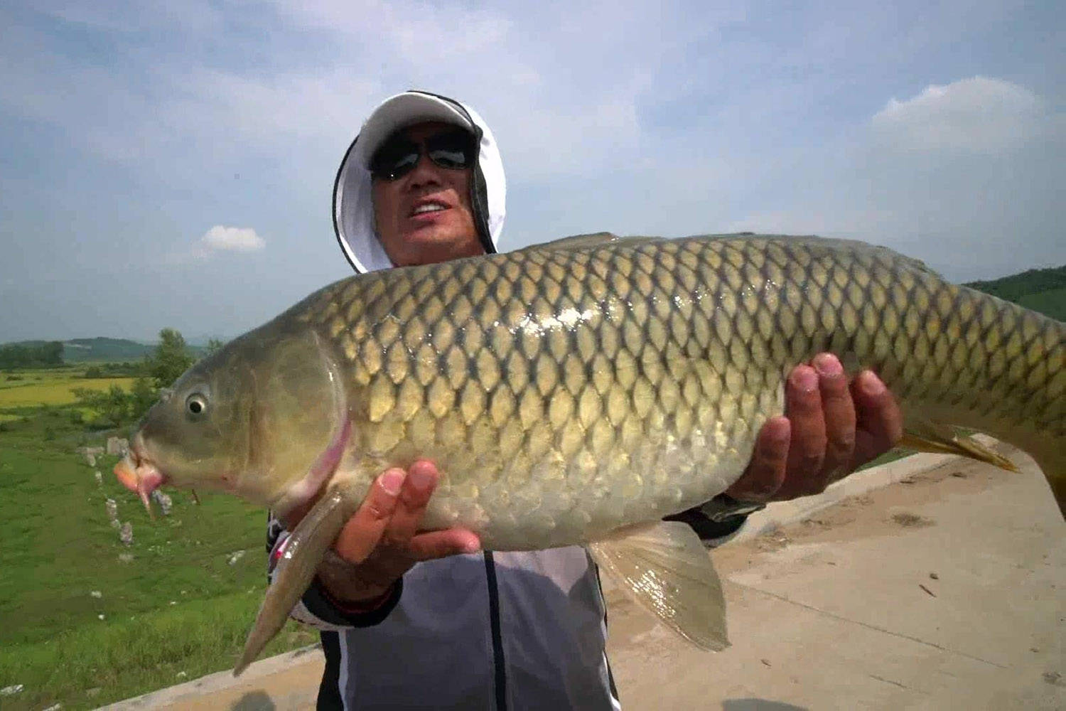 老魚塘釣鯉魚技巧_夏天魚塘釣草魚技巧_dnf釣黃金鯉魚技巧
