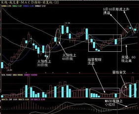 
怎樣在尾盤快速確認次日要漲停？（附股）
