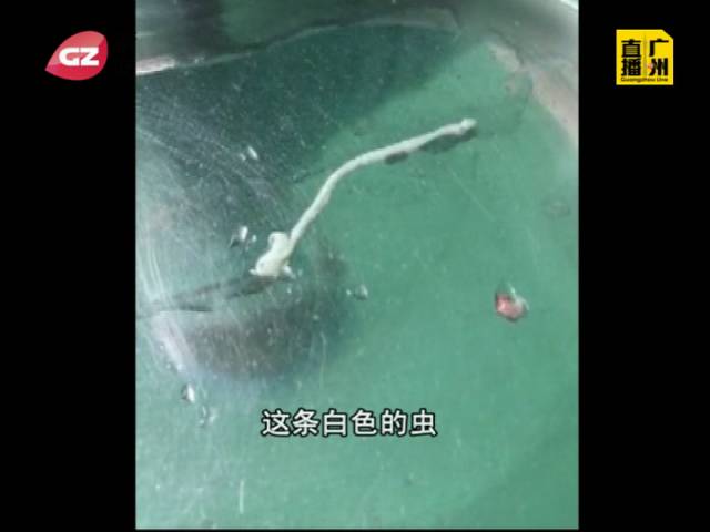 寶玉活蟲_睡前一招身高暴長10厘米_女子暴瘦20斤腦內取出27厘米活蟲