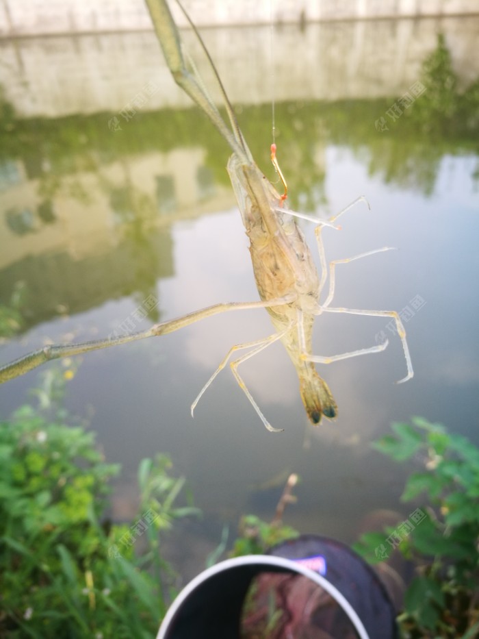調漂 釣魚技巧大全 釣魚技巧全_大海釣魚技巧_釣魚技巧+四海釣魚